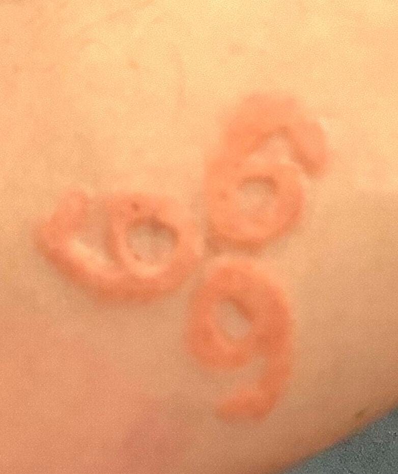 666 Pros aide Transfer, Perfect for Special Effects Makeup artists,Cosplay, Halloween & Character Creations! The Devil made me do it.