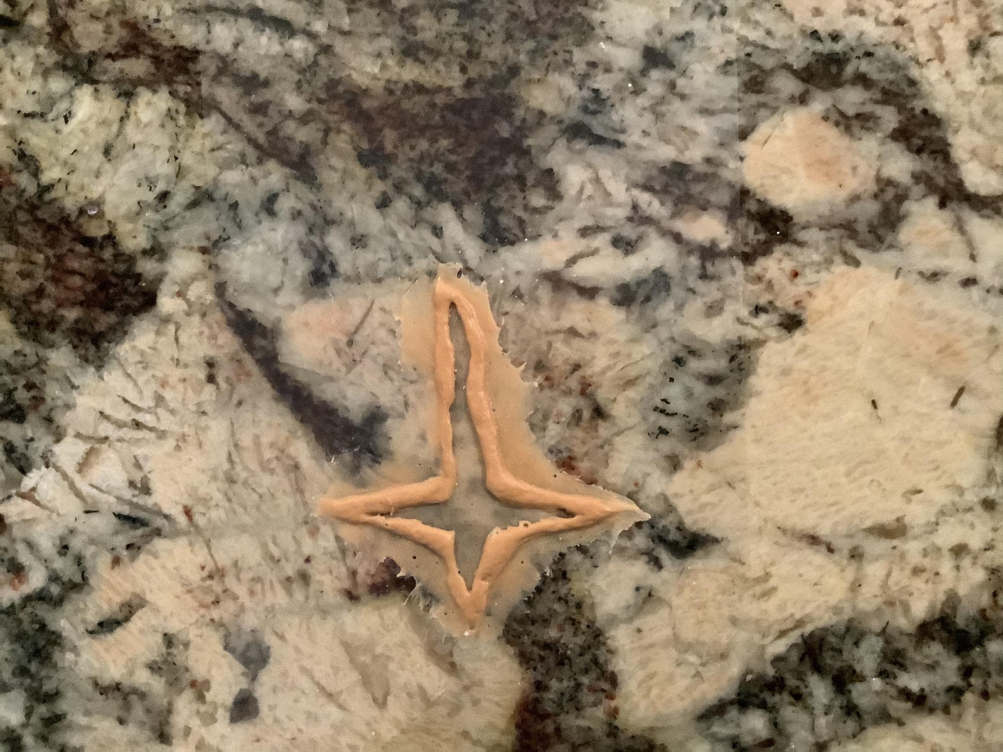 Pros aide transfer Inverted Cross