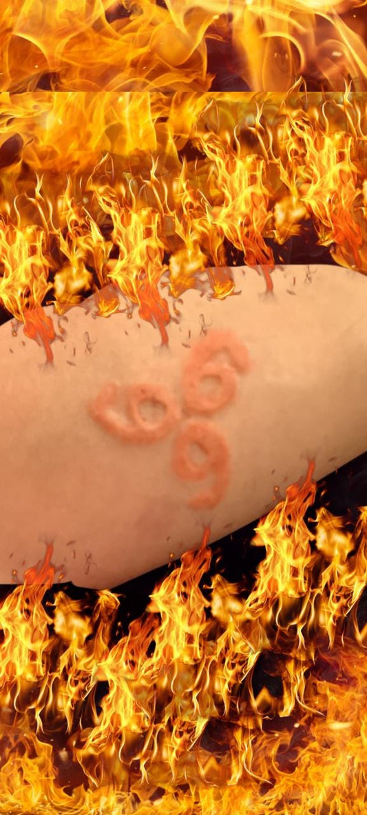 666 Pros aide Transfer, Perfect for Special Effects Makeup artists,Cosplay, Halloween & Character Creations! The Devil made me do it.