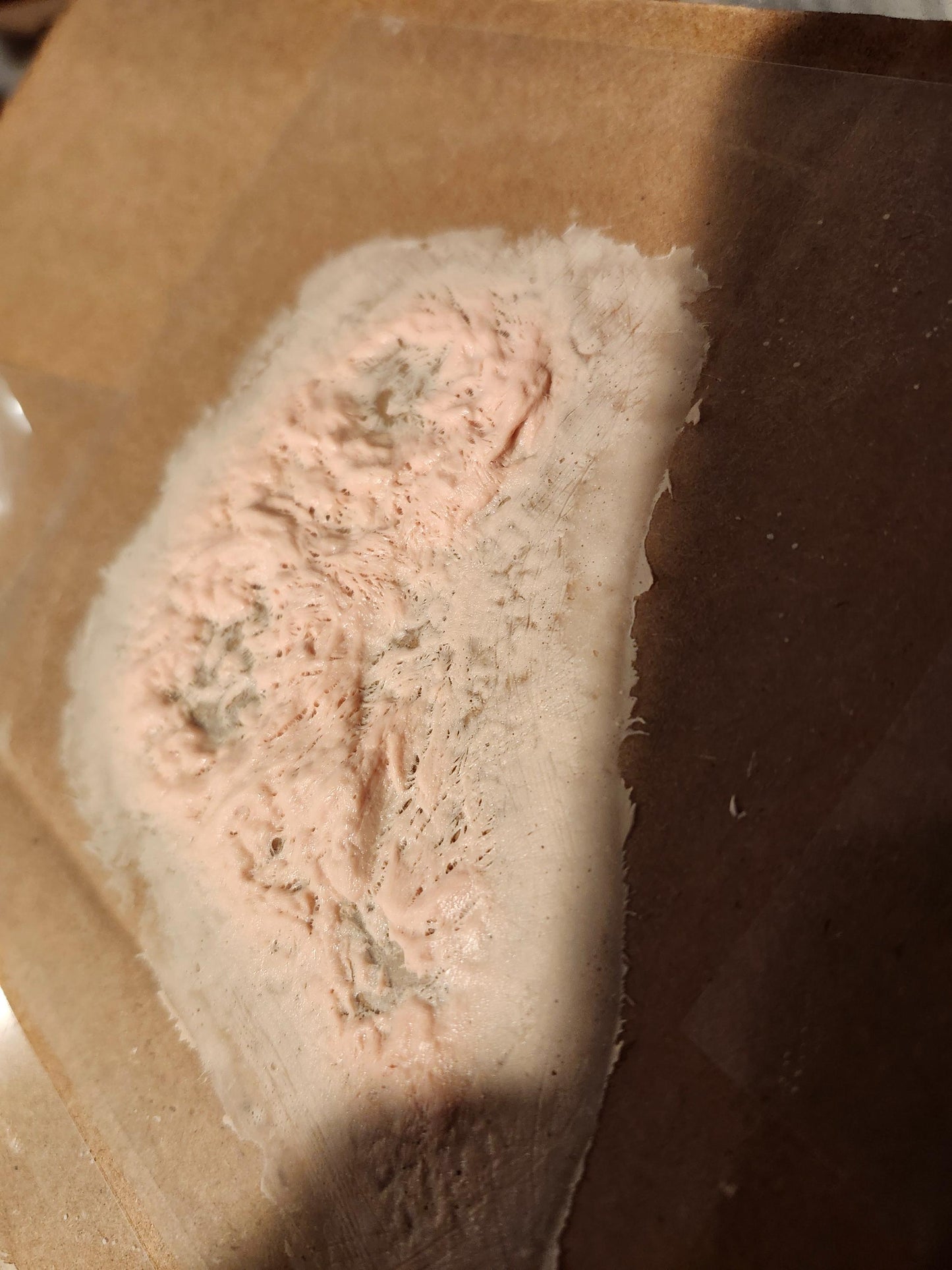 Zombie/diseased Pros aide Transfer, Perfect for Special Effects Makeup artists,Cosplay, Halloween & Character Creations!